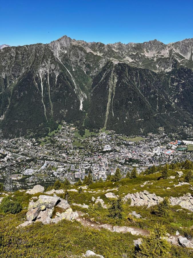 샤모니 Le Nid De L'Aiguille - Au Pied De L'Aiguille Du Midi 아파트 외부 사진